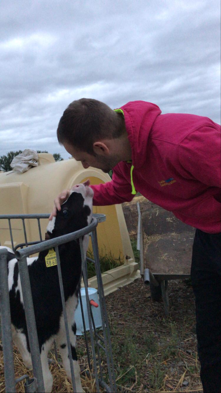 Sebastian Diener & Kuh